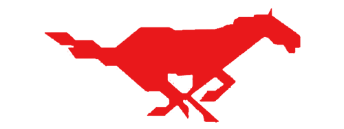 DaMaCai Logo